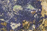 Azurite and Malachite Association on Matrix - Morocco #217790-1